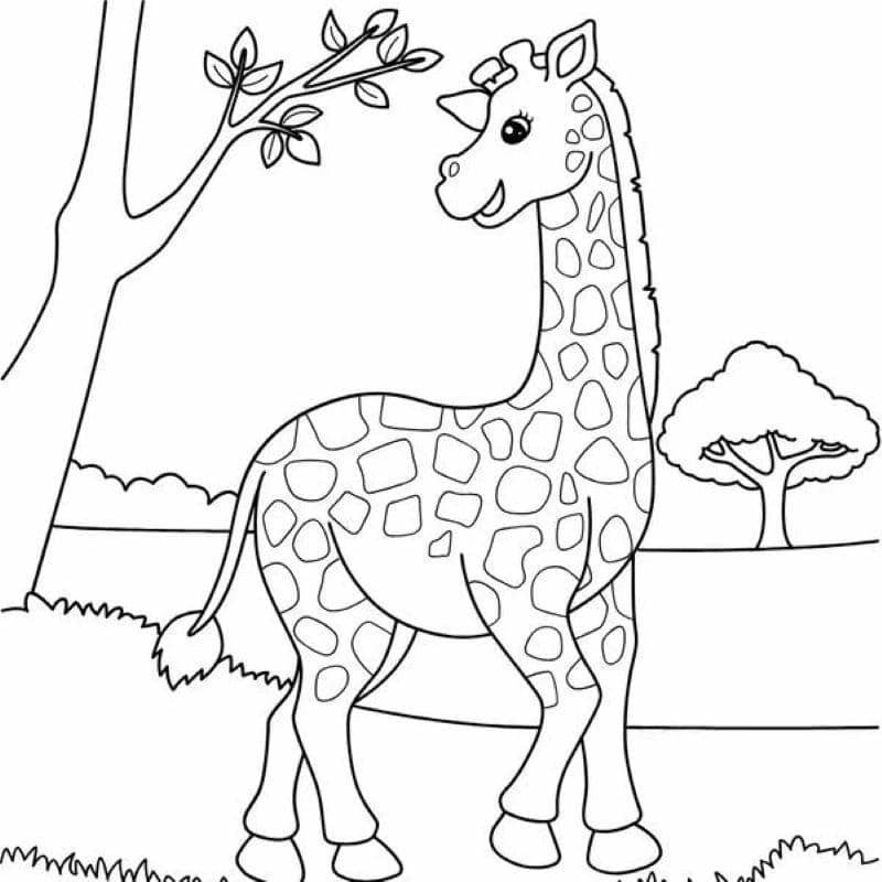 con hươu cao cổ vẽ