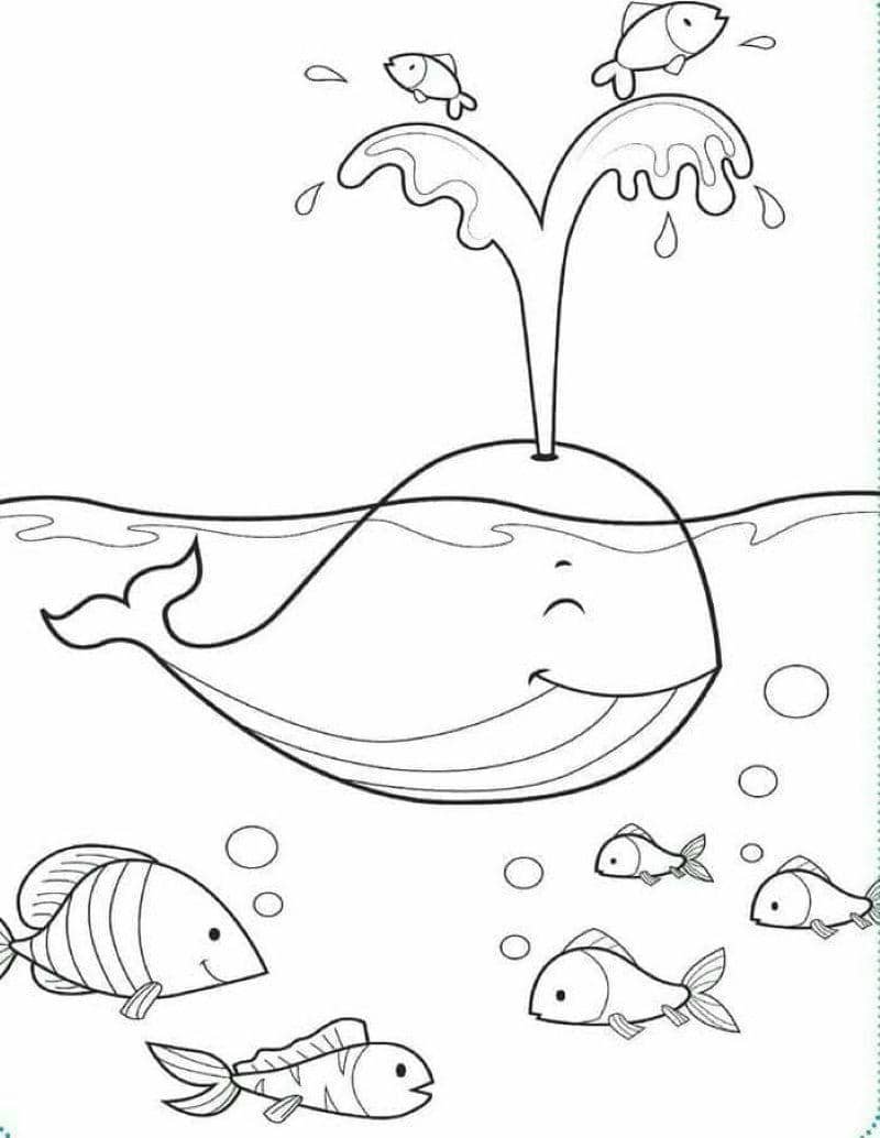 tô màu cá heo cute