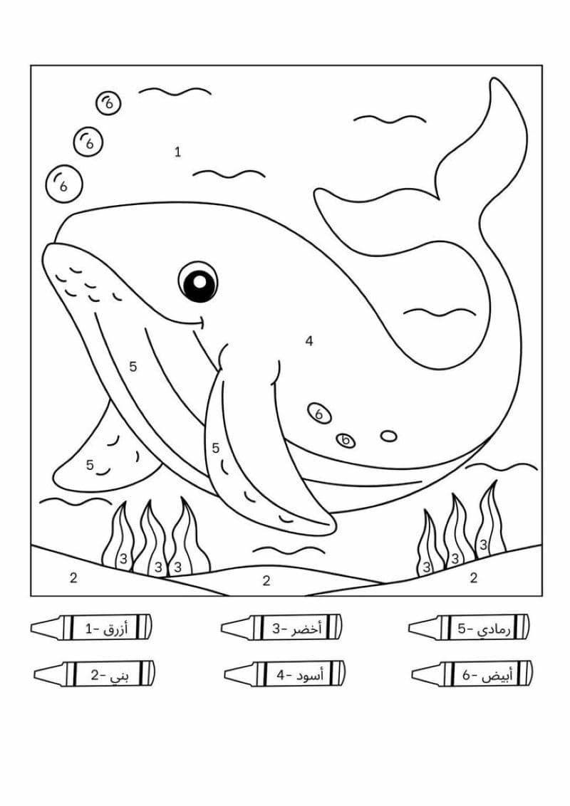 tô màu cá voi cute