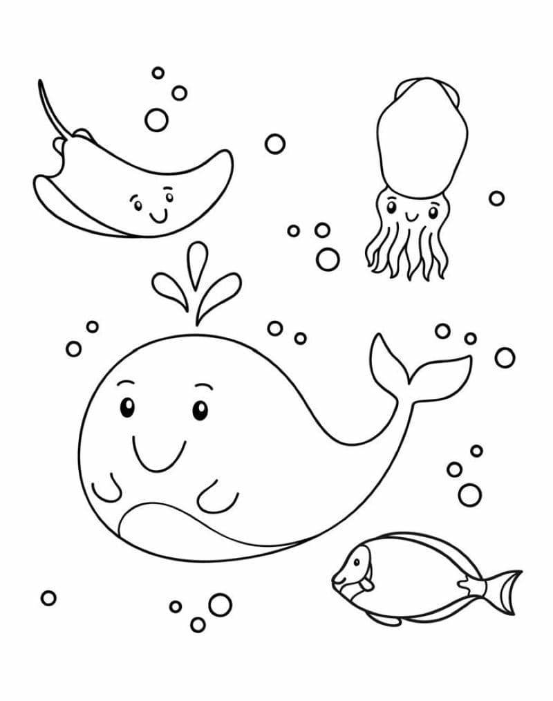 tô màu cá voi