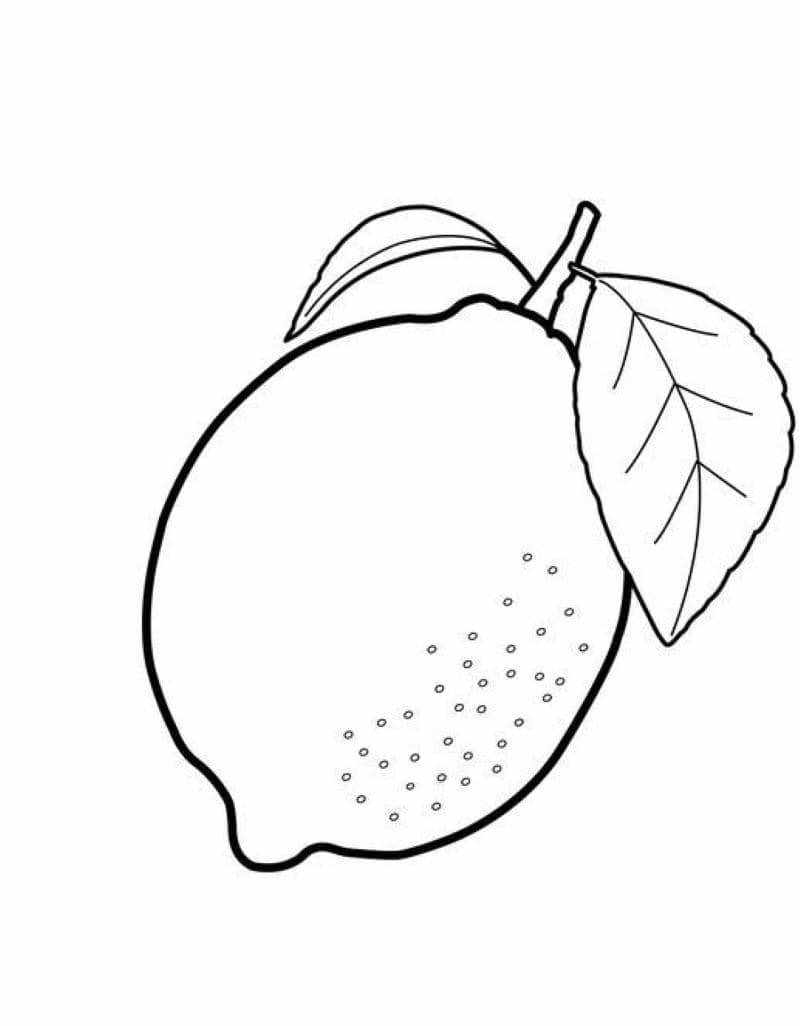 tô màu các loại quả