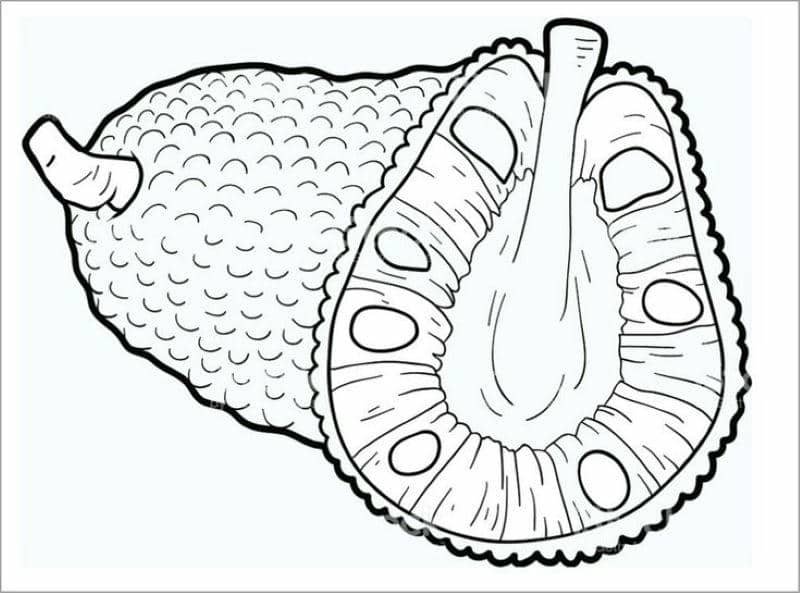 tô màu hoa quả đơn giản