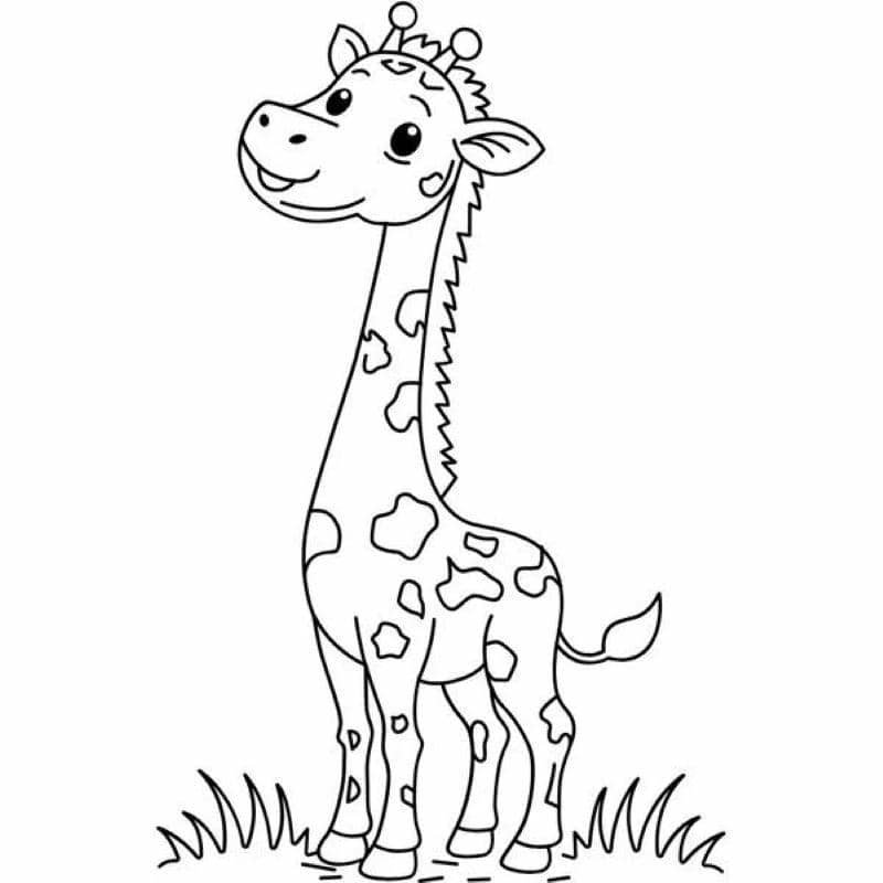 tô màu hươu cao cổ