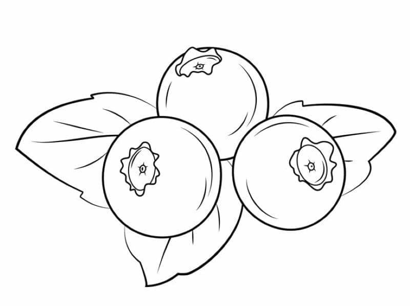 tô màu trái cây cho bé