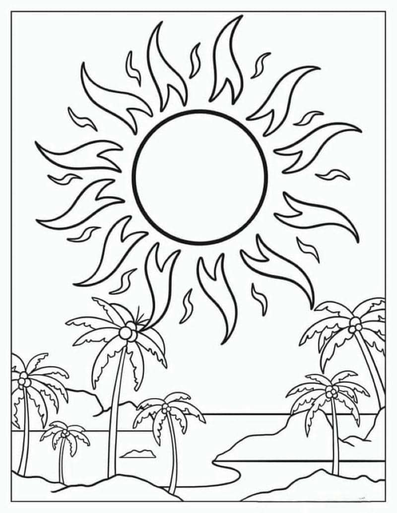 tô ông mặt trời