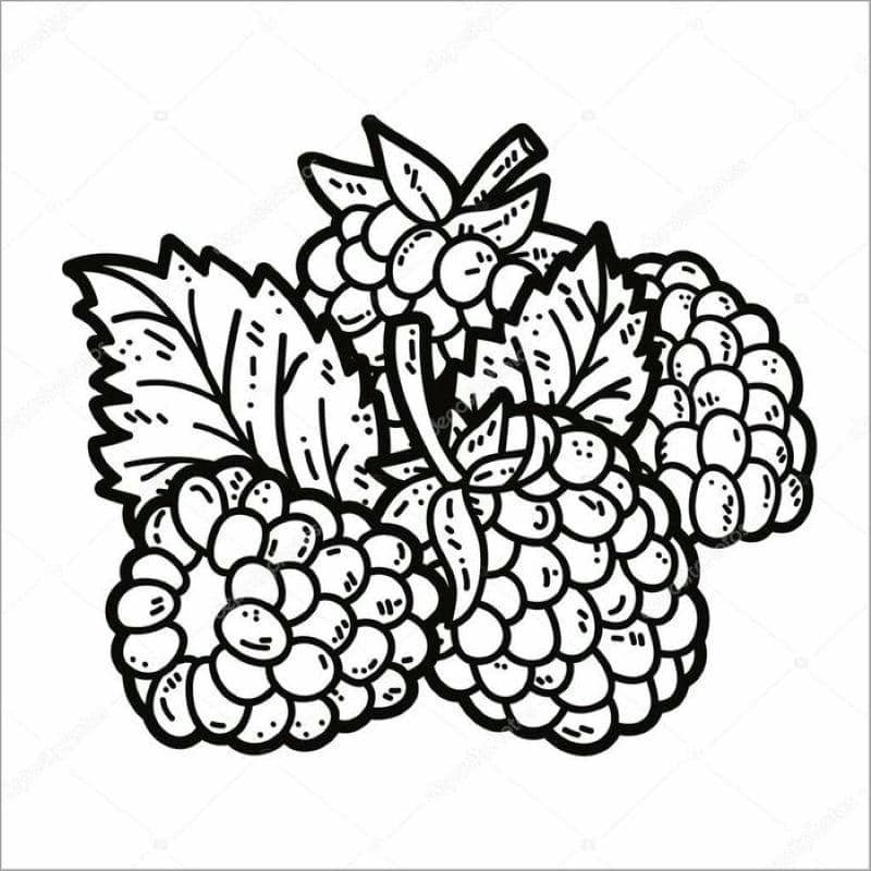 trái cây tranh tô màu các loại quả