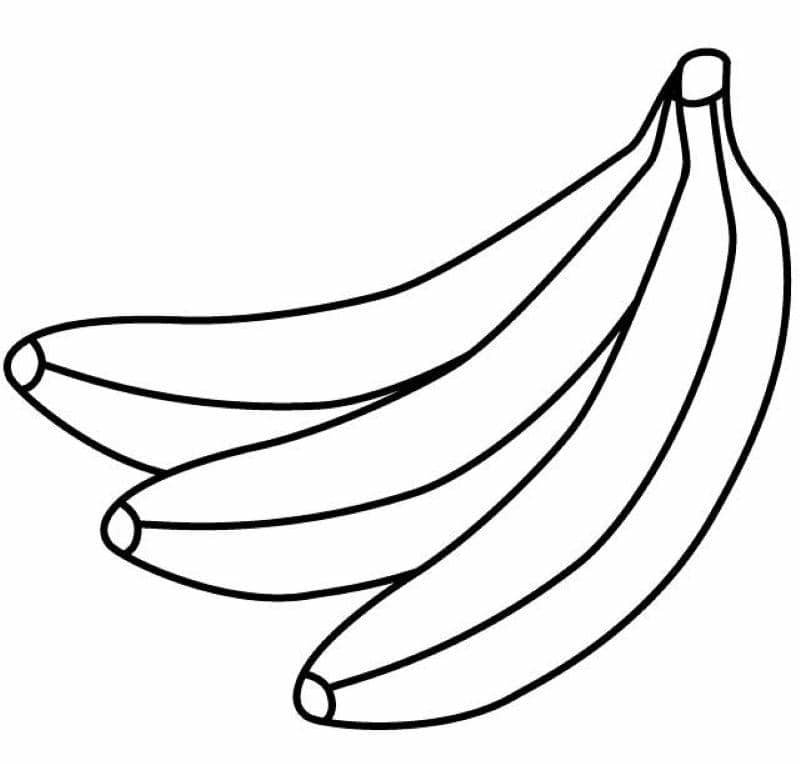 tranh hoa quả cho bé tô màu