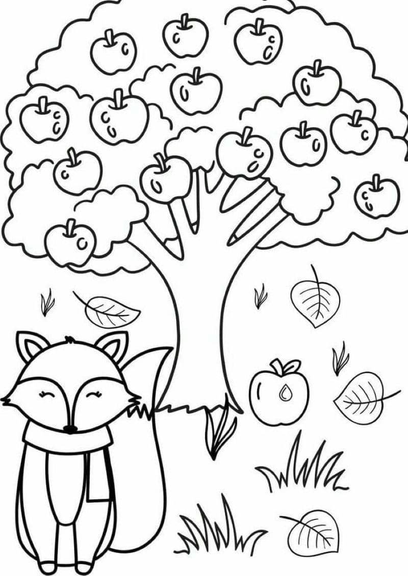 tranh quả táo