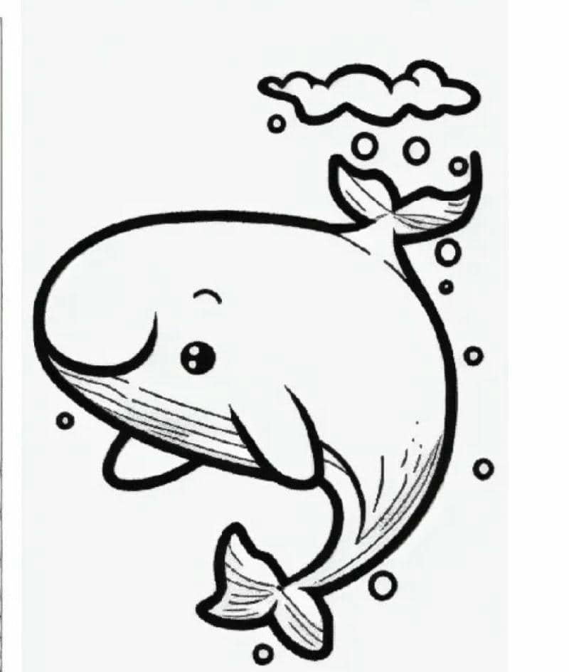 tranh tô màu cá voi đơn giản cho bé