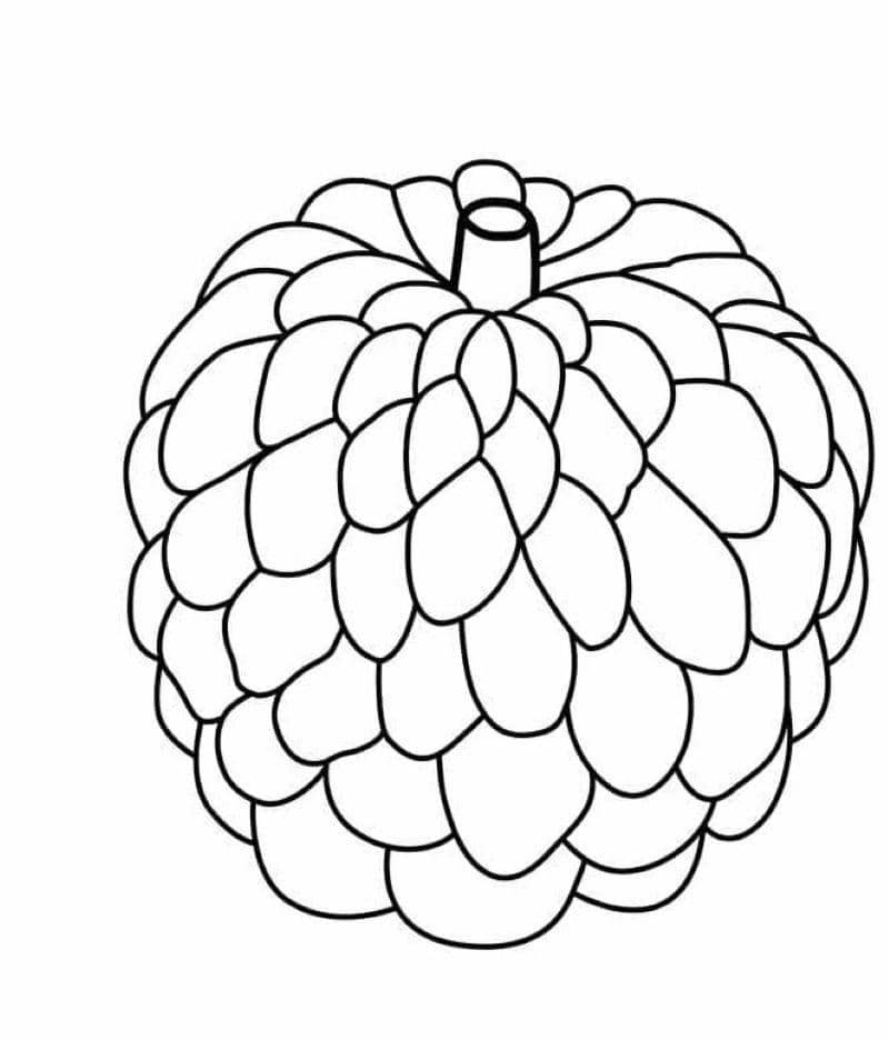 tranh tô màu cây ăn quả