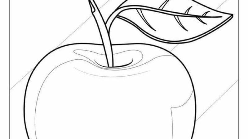 Tải miễn phí 89+ tranh tô màu quả táo đơn giản nhất cho bé