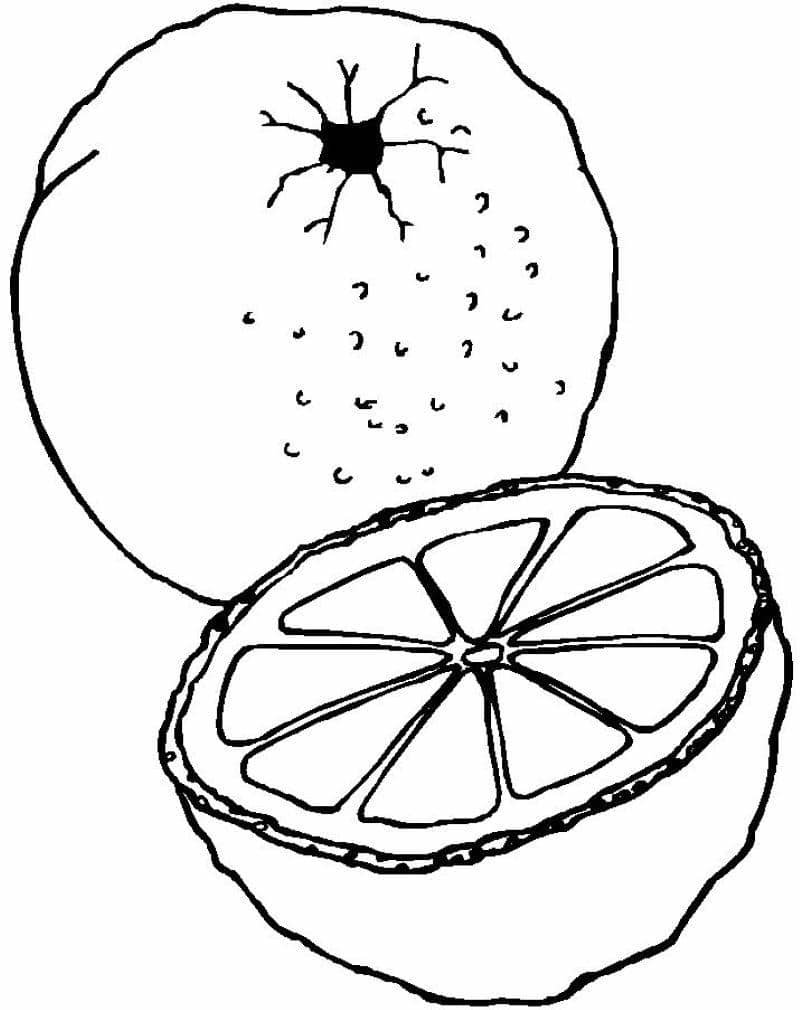 tranh tô màu vườn cây ăn quả