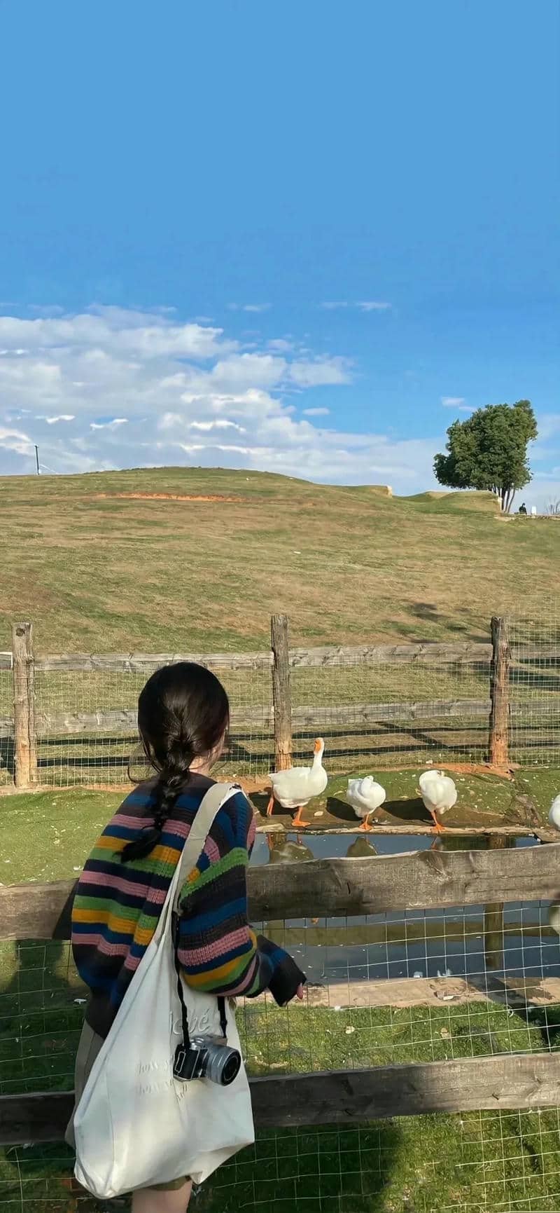 ảnh gái xinh chụp sau lưng (17)