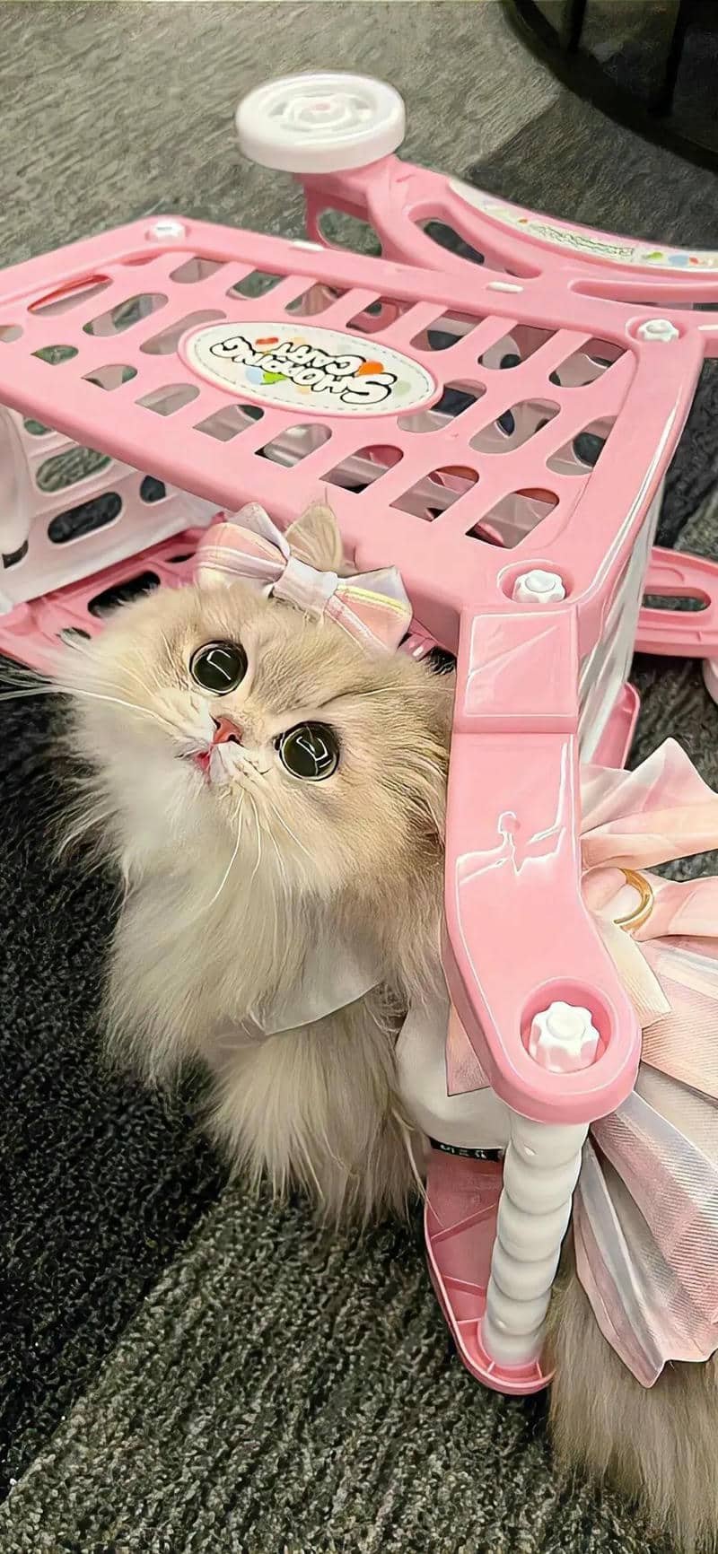 hình nền cute (31)