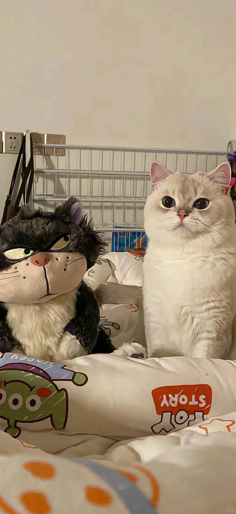 hình nền cute (7)