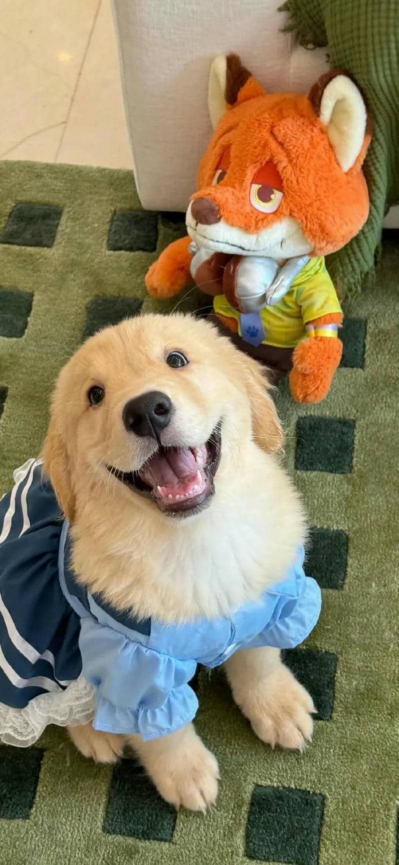 hình nền cute (8)