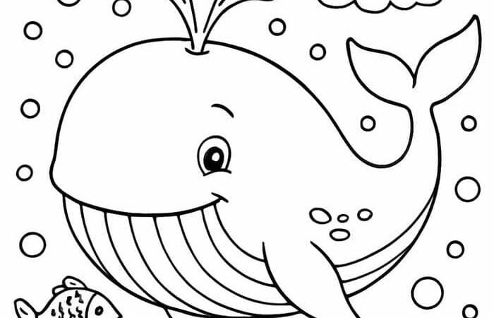 Khám phá 70+ tranh tô màu con cá đẹp, đơn giản, cute cho bé