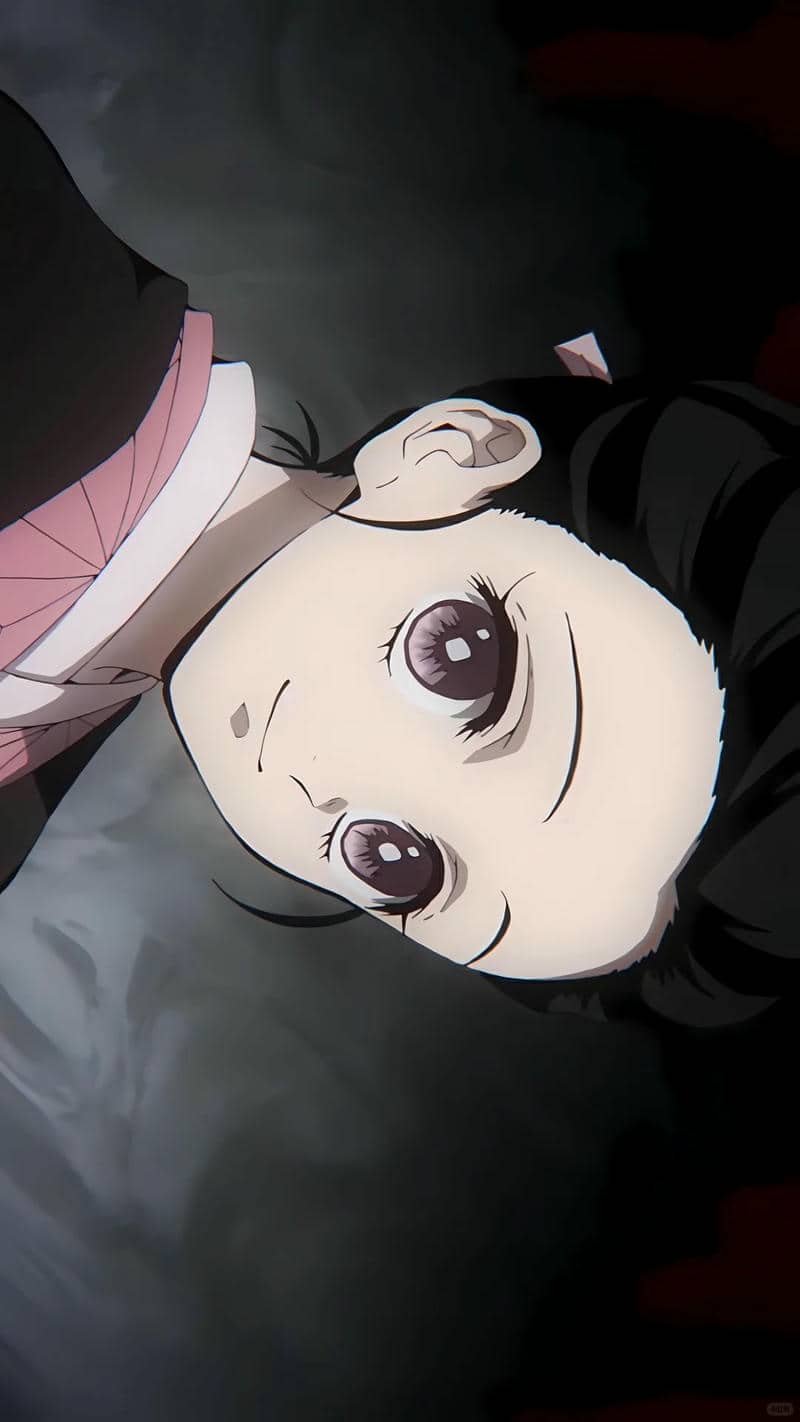 Nezuko (7)
