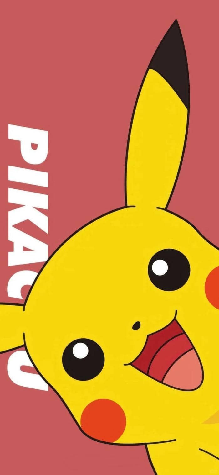 Pikachu (17)