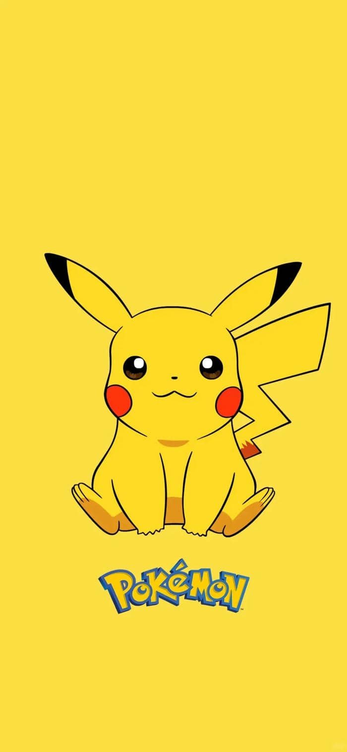 Pikachu (20)