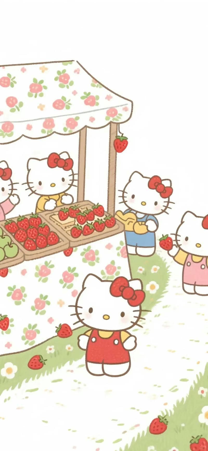 ảnh Hello Kitty (21)