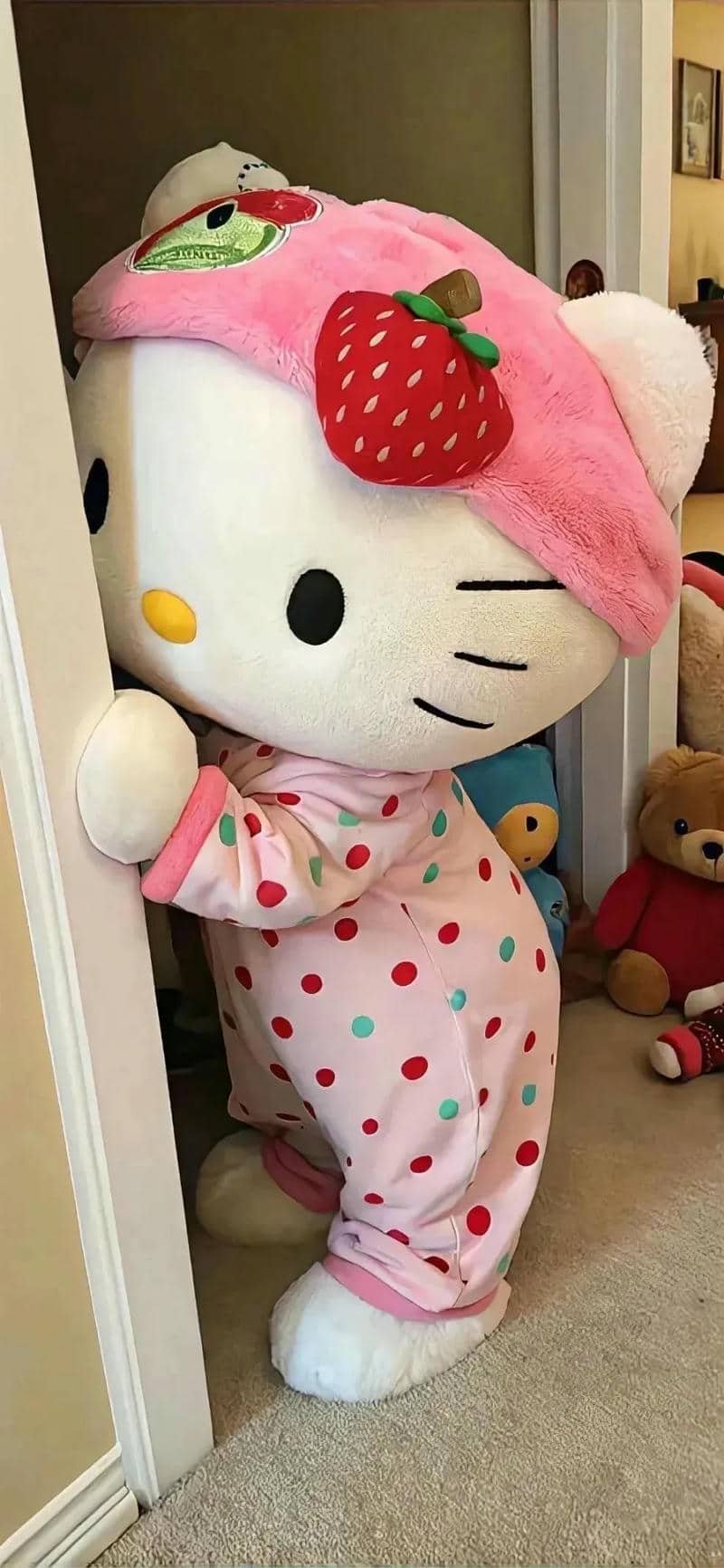 ảnh Hello Kitty (8)