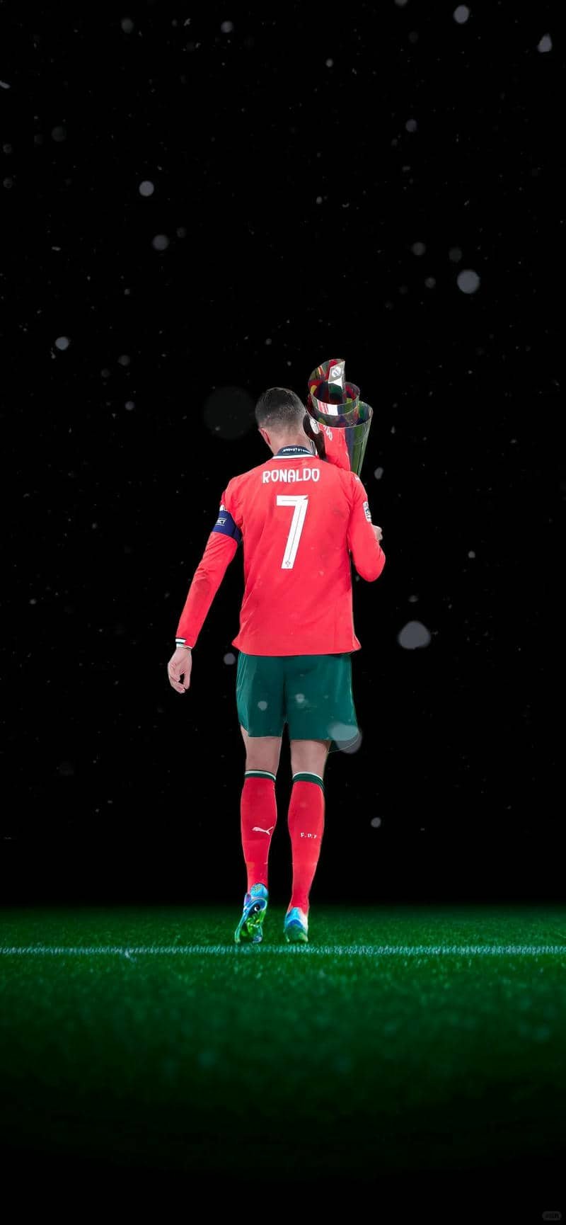 ảnh Ronaldo (1)