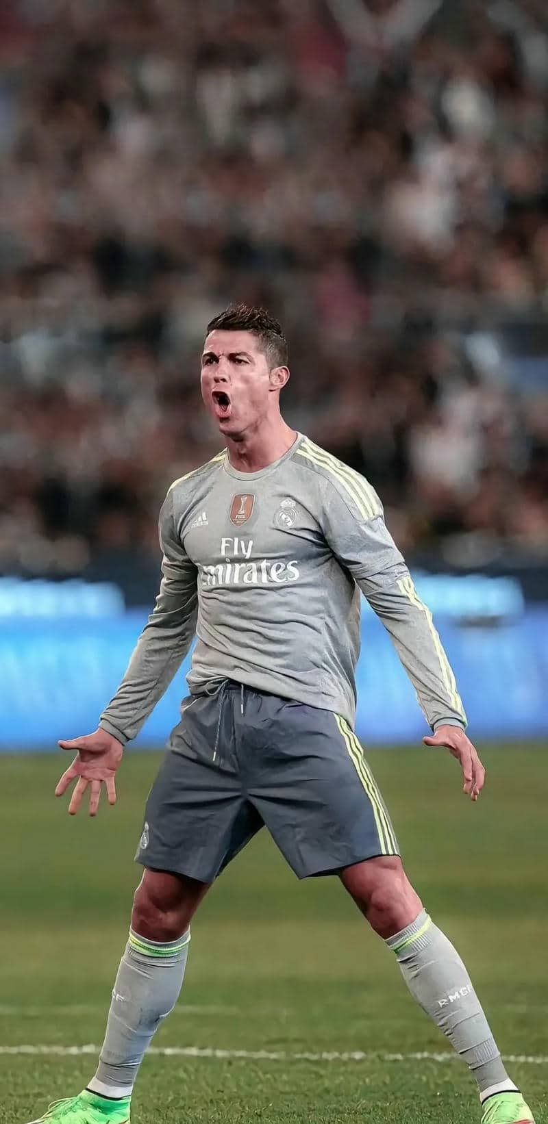 ảnh Ronaldo (20)