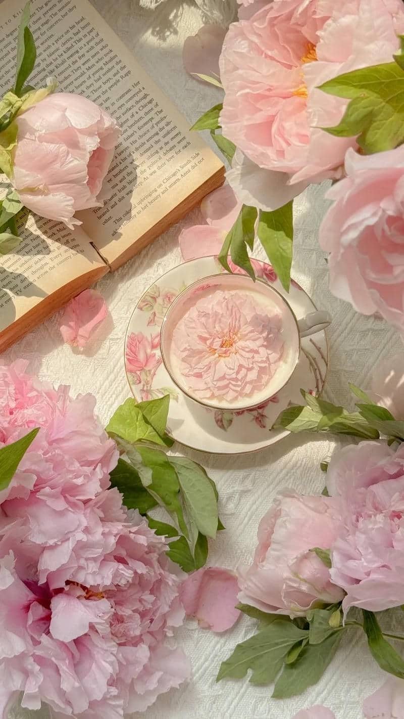 hình nền hoa mẫu đơn (20)