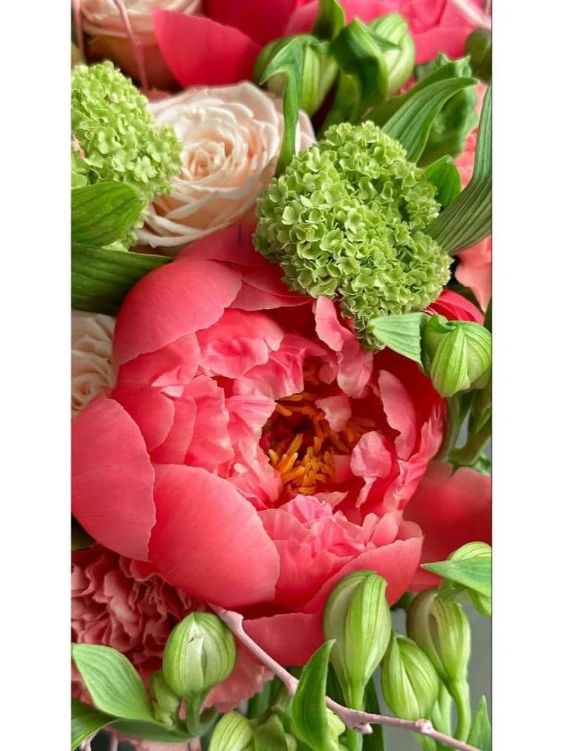 hình nền hoa mẫu đơn (27)