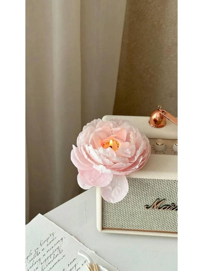 hình nền hoa mẫu đơn (30)