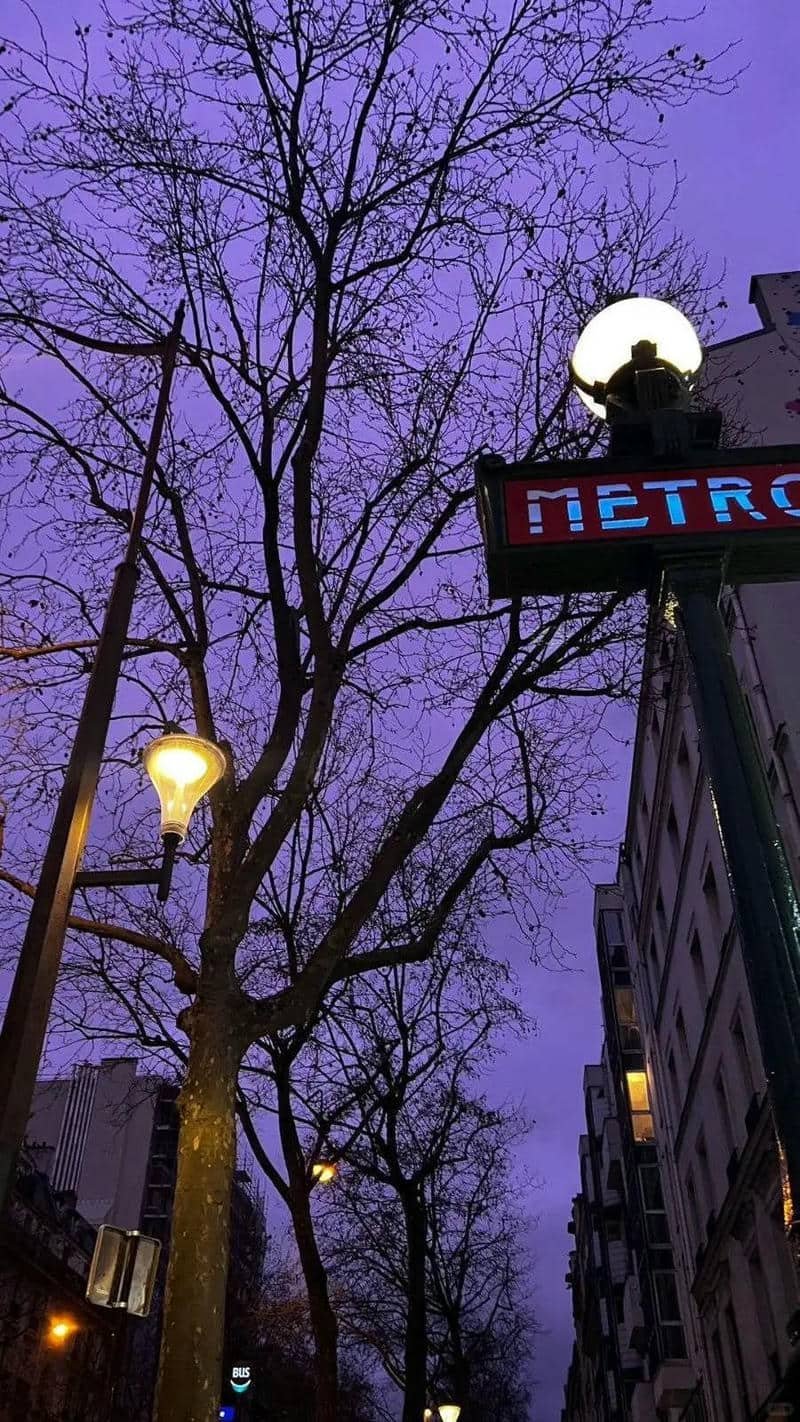 hình nền tím (11)