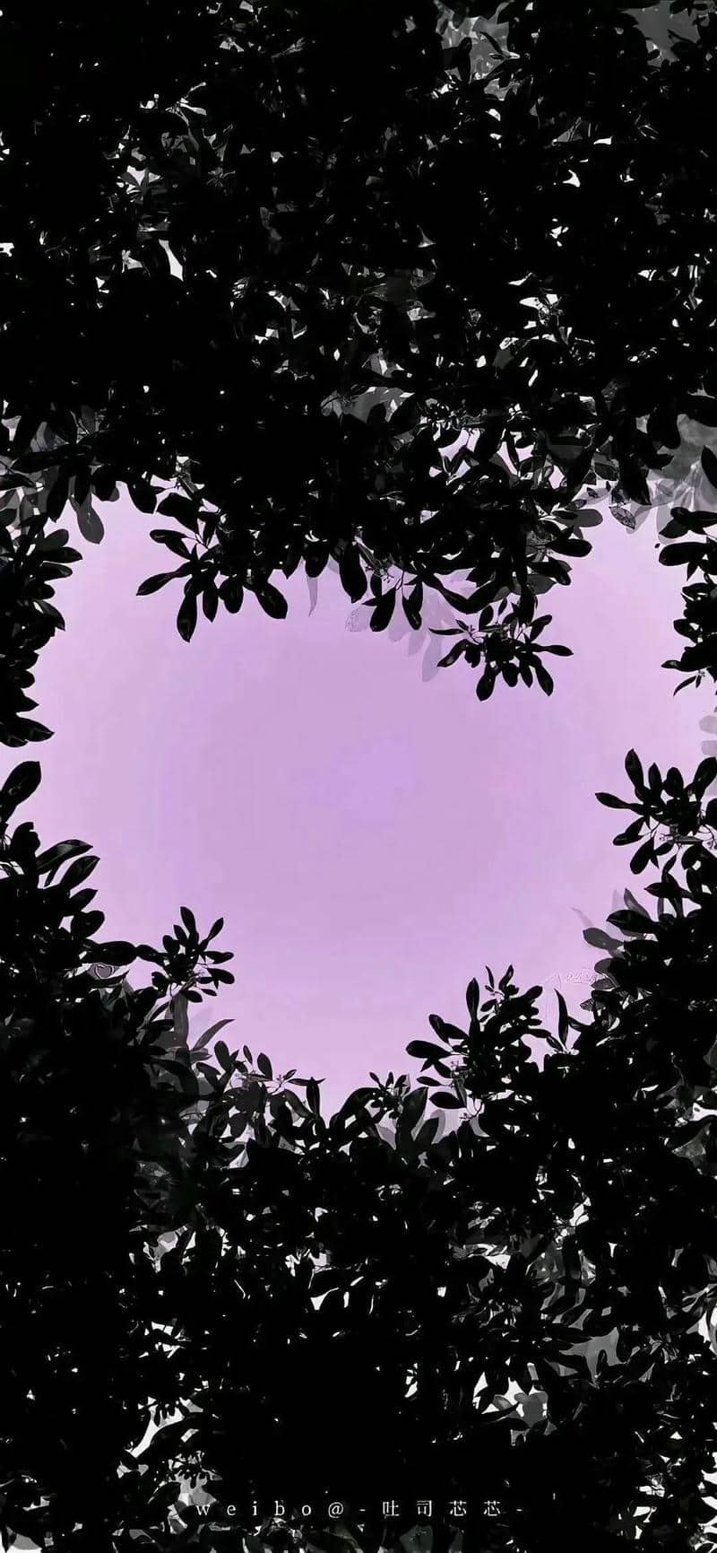 hình nền tím (12)