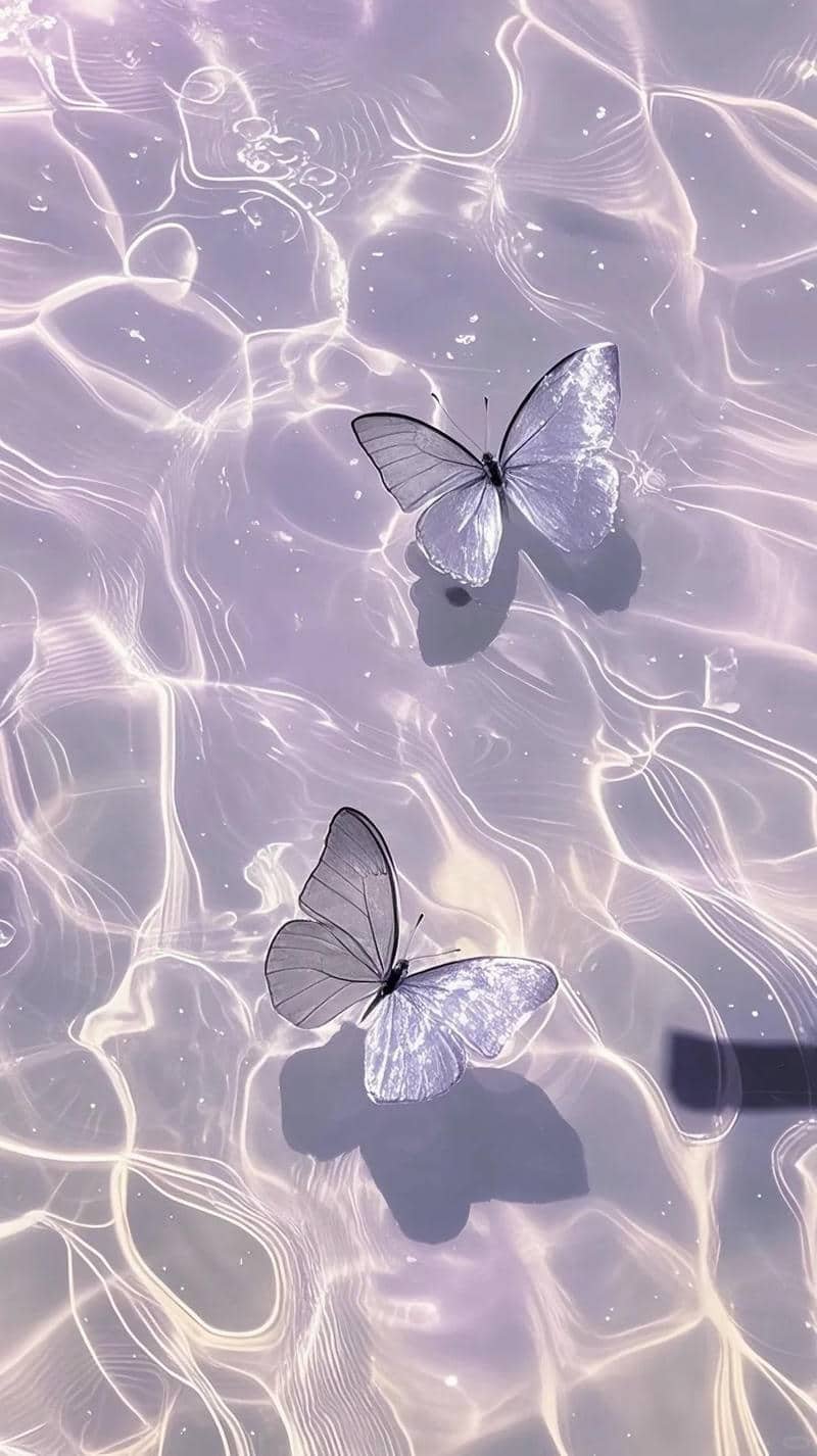 hình nền tím (2)