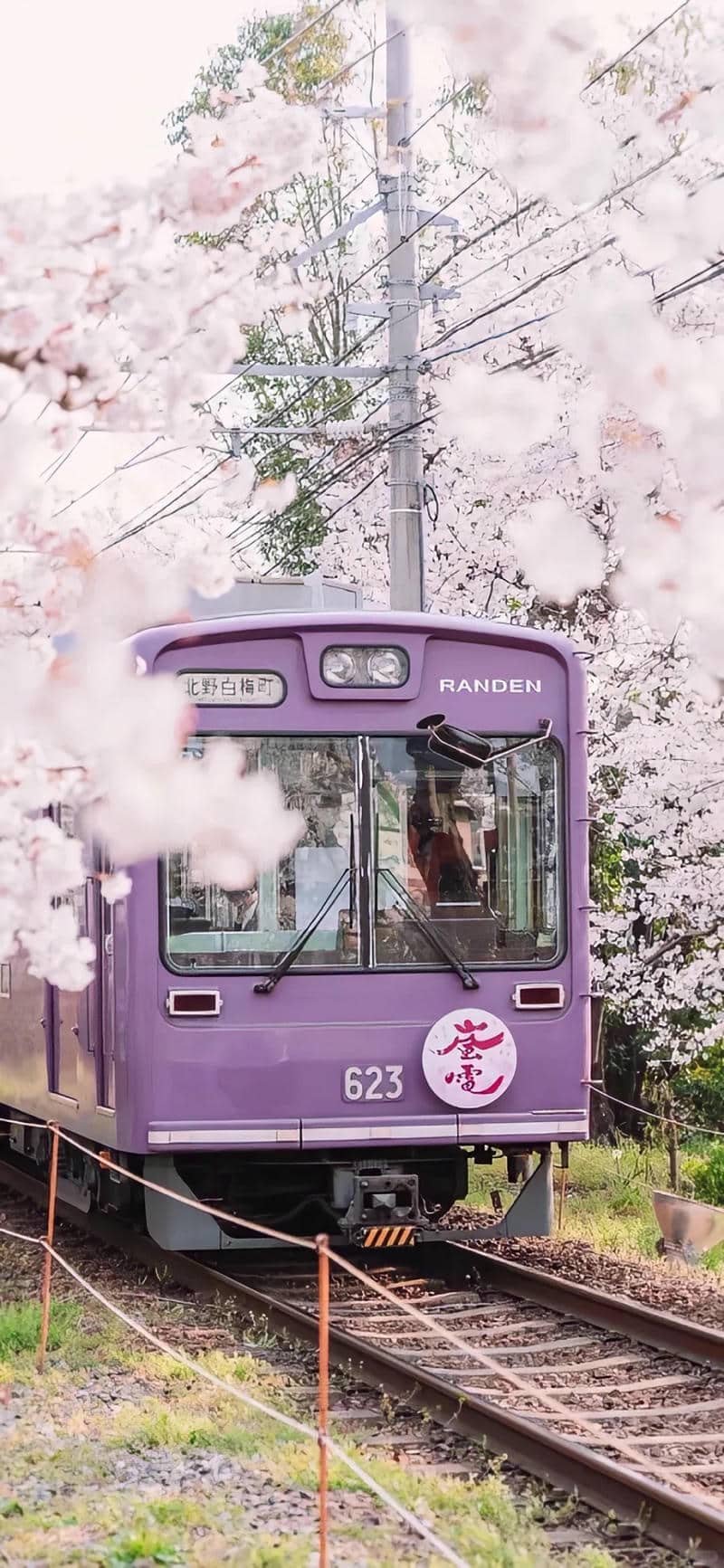 hình nền tím (26)