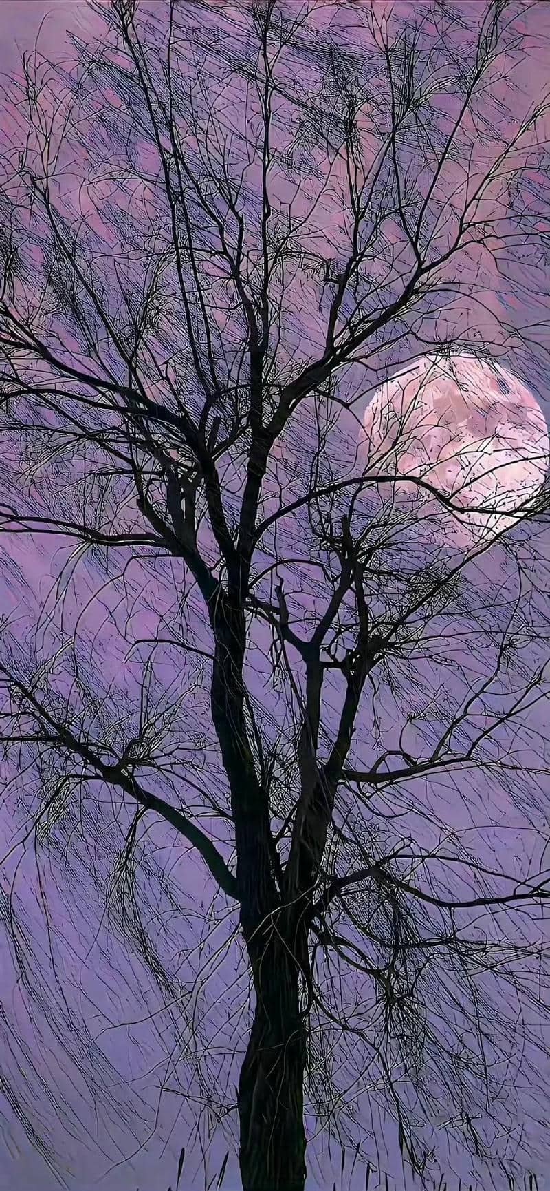 hình nền tím (27)